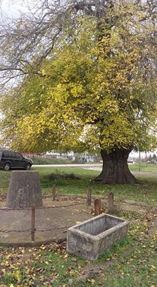 Çarşamba Köklük Köyü Resimleri 7