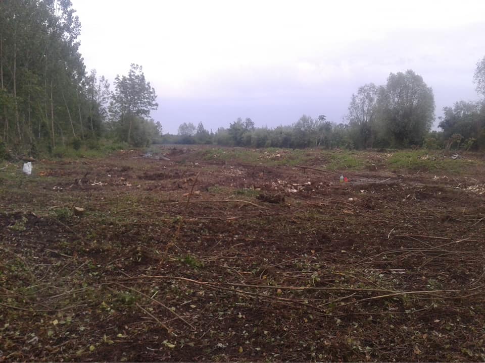 Çarşamba Köklük Köyü Resimleri 9