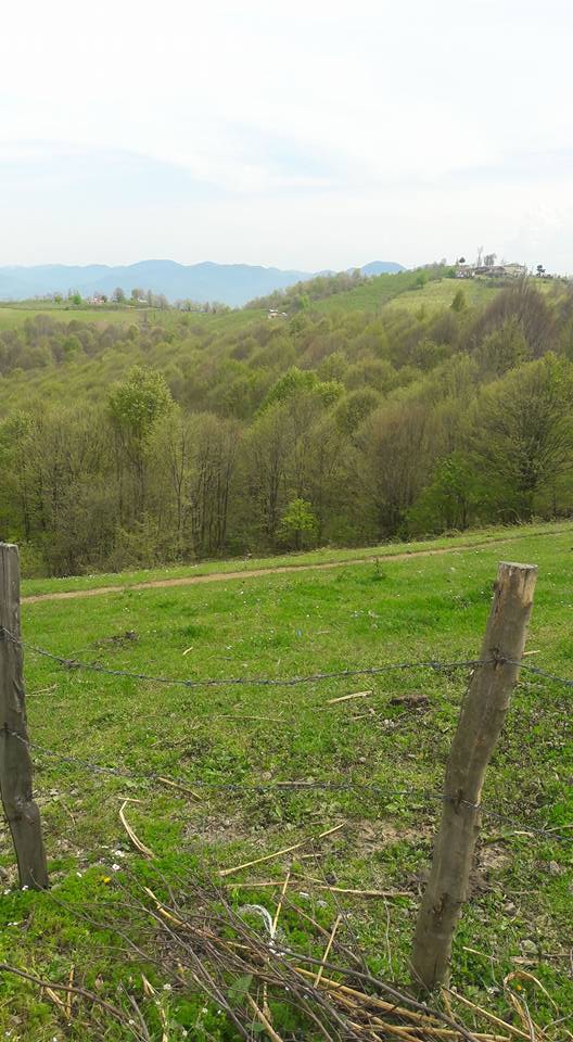 Çarşamba Köroğlu Köyü Resimleri 10