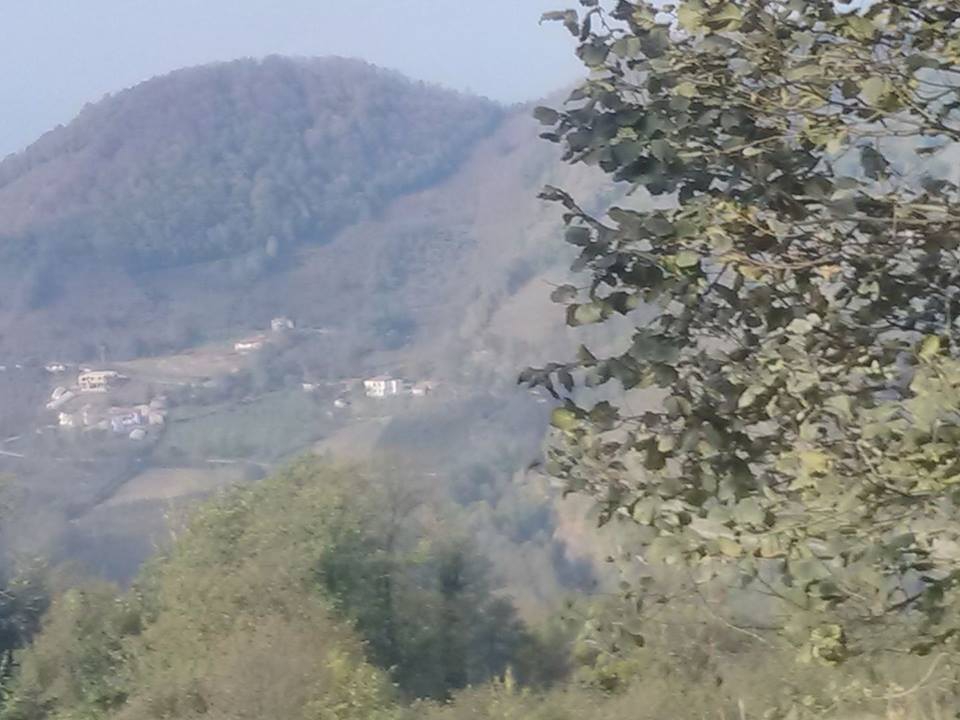 Çarşamba Köroğlu Köyü Resimleri 11