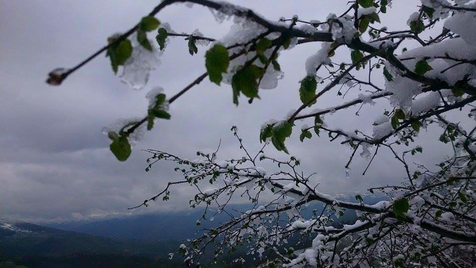 Çarşamba Köroğlu Köyü Resimleri 6