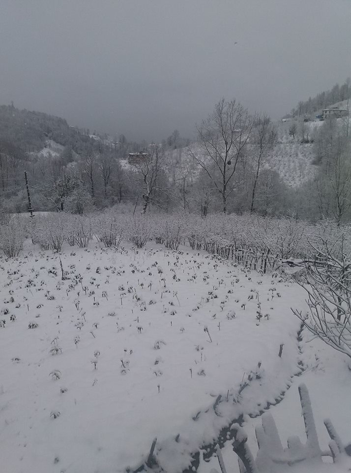 Çarşamba Köroğlu Köyü Resimleri 8