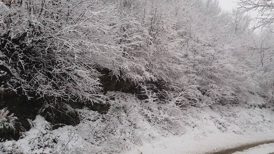 Çarşamba Köroğlu Köyü Resimleri 9