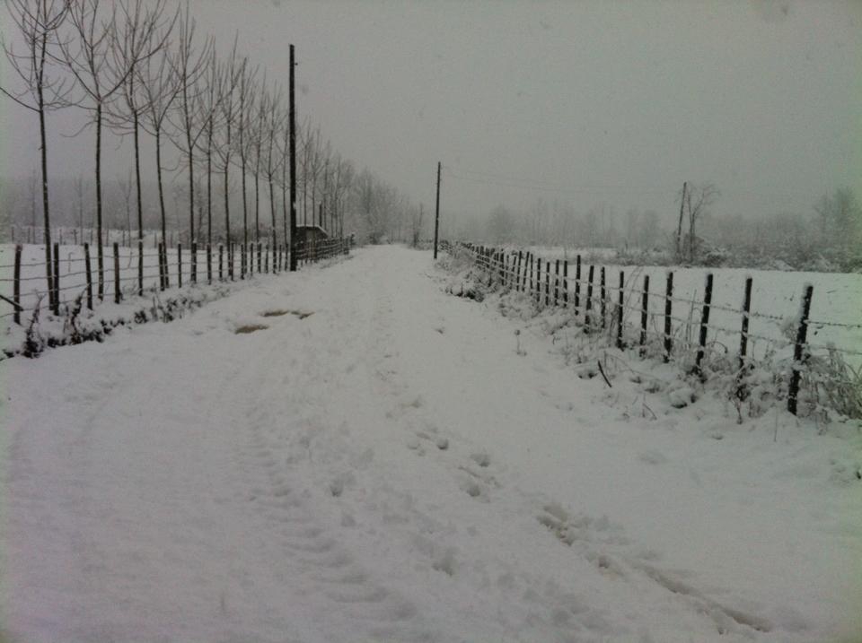 Çarşamba Kumarlı Köyü Resimeri 1