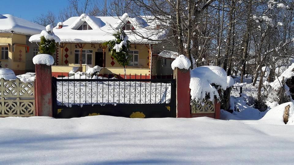 Çarşamba Kumarlı Köyü Resimeri 2