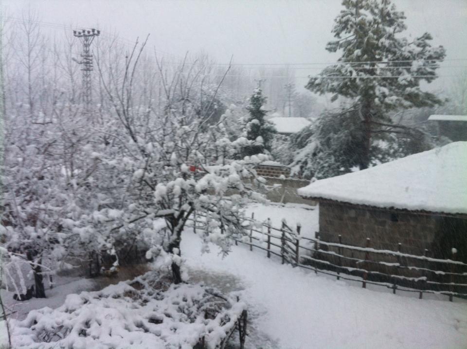 Çarşamba Kumarlı Köyü Resimeri 5