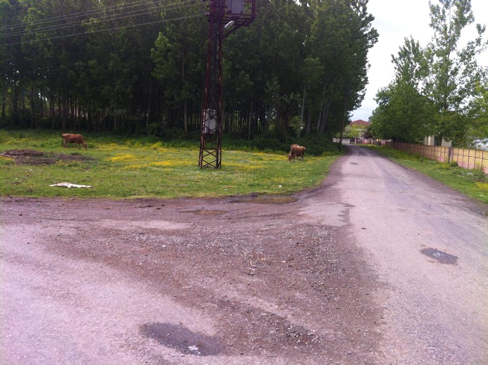 Çarşamba Kumarlı Köyü Resimeri 6