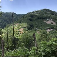 Akkuş Kurtboğaz Köyü Resimleri 10