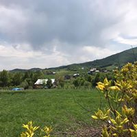 Akkuş Kurtboğaz Köyü Resimleri 12