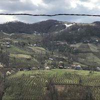 Akkuş Kurtboğaz Köyü Resimleri 14