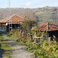 Akkuş Kurtboğaz Köyü Resimleri 2