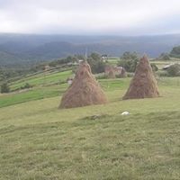 Akkuş Kurtboğaz Köyü Resimleri 20