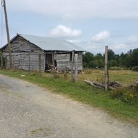 Akkuş Kurtboğaz Köyü Resimleri 21