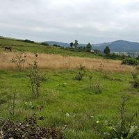 Akkuş Kurtboğaz Köyü Resimleri 22