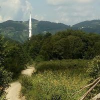 Akkuş Kurtboğaz Köyü Resimleri 23