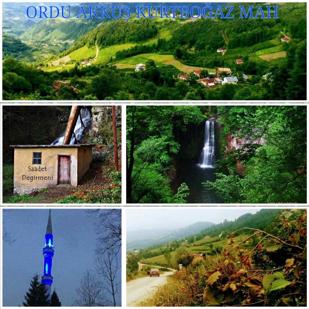 Akkuş Kurtboğaz Köyü Resimleri 25