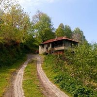 Akkuş Kurtboğaz Köyü Resimleri 4