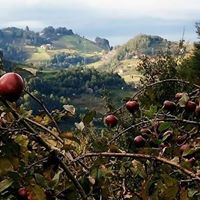 Akkuş Kurtboğaz Köyü Resimleri 5