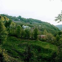 Akkuş Kurtboğaz Köyü Resimleri 7