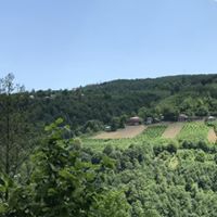 Akkuş Kurtboğaz Köyü Resimleri 8