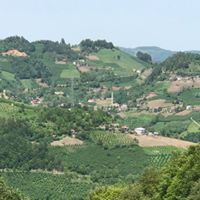 Akkuş Kurtboğaz Köyü Resimleri 9