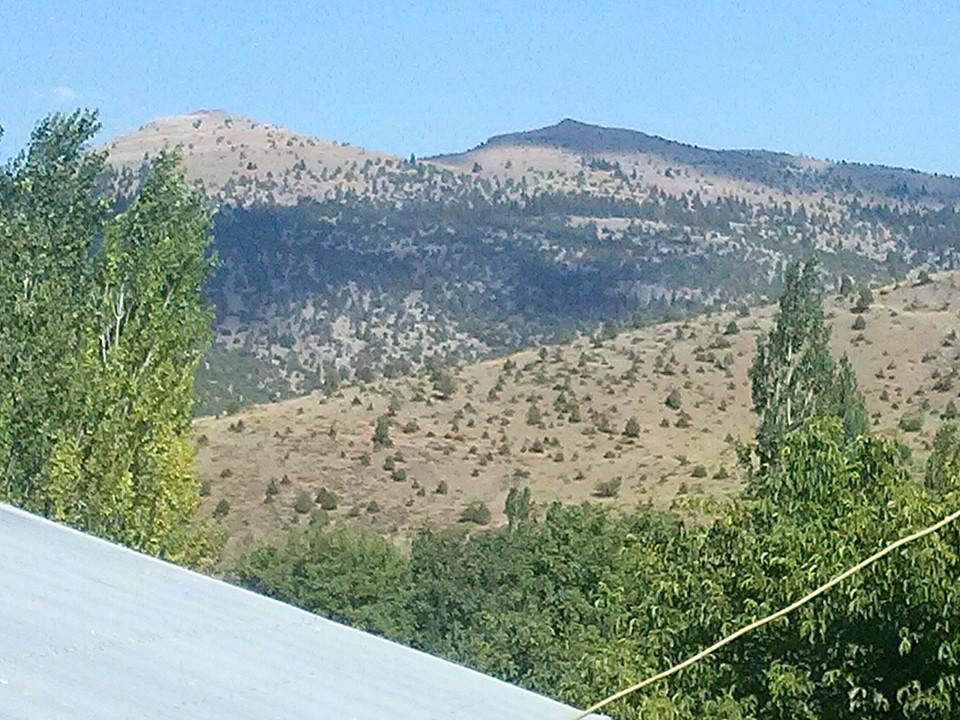 Adana Tufanbeyli Şarköy Resimleri 8