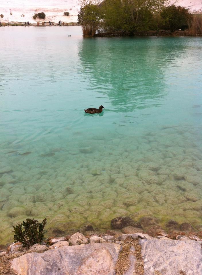 Adana Tufanbeyli Şarköy Resimleri 9