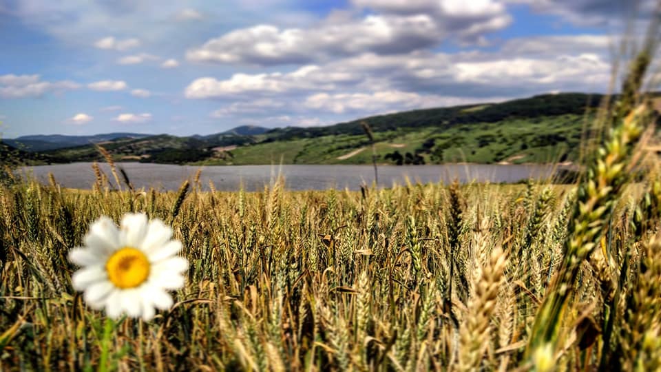 Enez Çavuşköy Resimleri 13