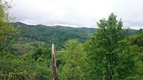 Akkuş Yeşilköy Köyü Resimleri 3