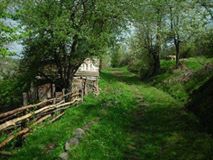 Akkuş Yolbaşı Köyü Resimleri 1