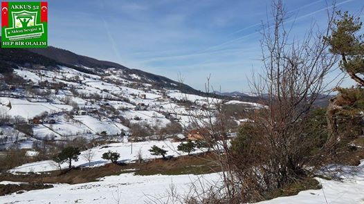 Akkuş Yolbaşı Köyü Resimleri 4
