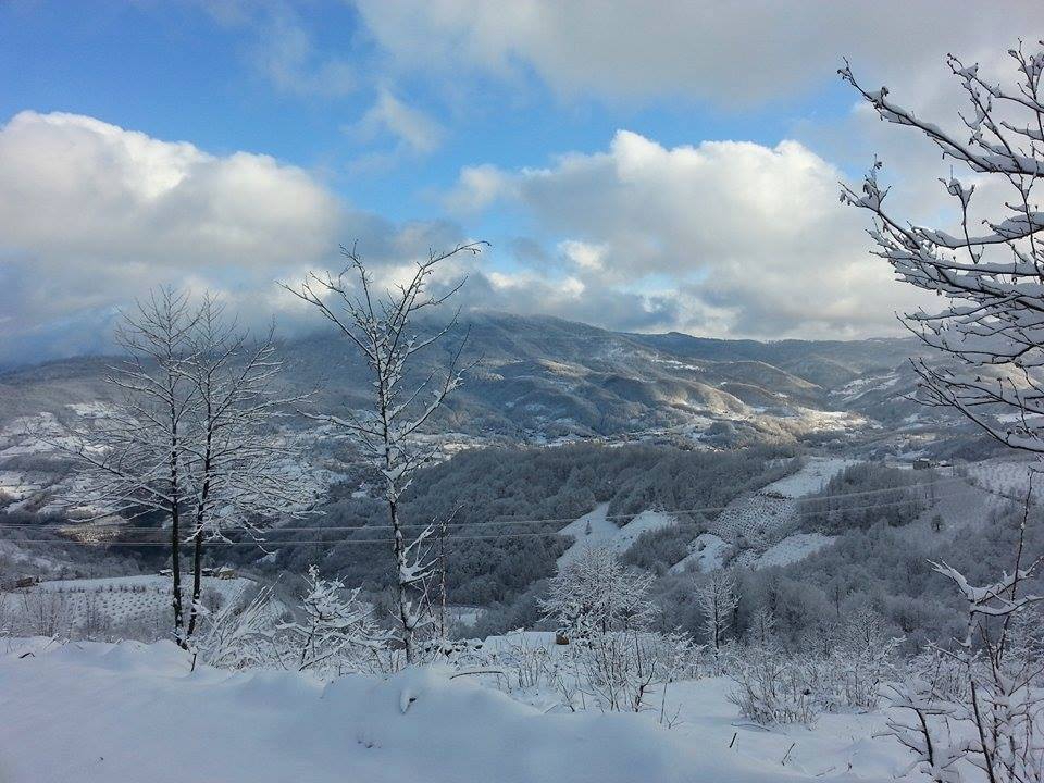 Akkuş Akpınar Köyü Resimleri 1