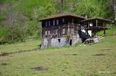 Akkuş Akpınar Köyü Resimleri 4