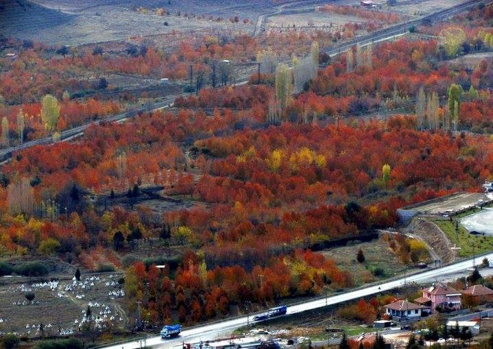 Ulukışla  Beyağıl Köyü Resimleri 2