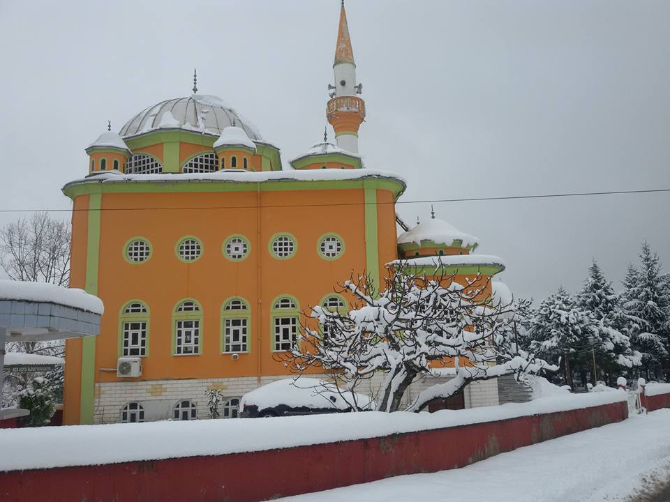 Altınordu Akçatepe Köyü Resimleri 1
