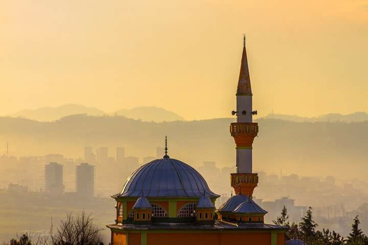 Altınordu Akçatepe Köyü Resimleri 3