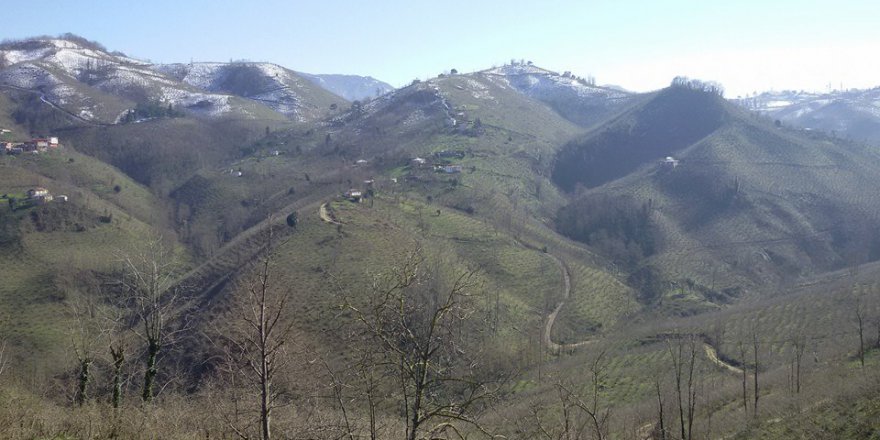 Altınordu Akçatepe Köyü Resimleri