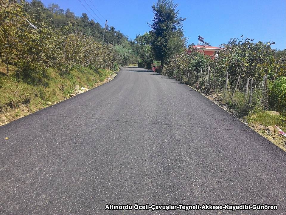 Altınordu Akkese Köyü Resimleri 1