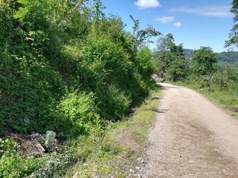 Altınordu Akkese Köyü Resimleri 6