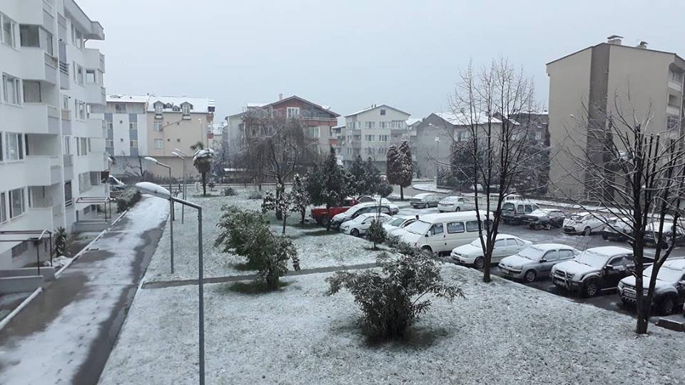 Altınordu Akyazı Köyü Resimleri 1