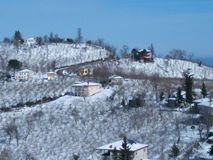 Altınordu Alembey Köyü Resimleri 1