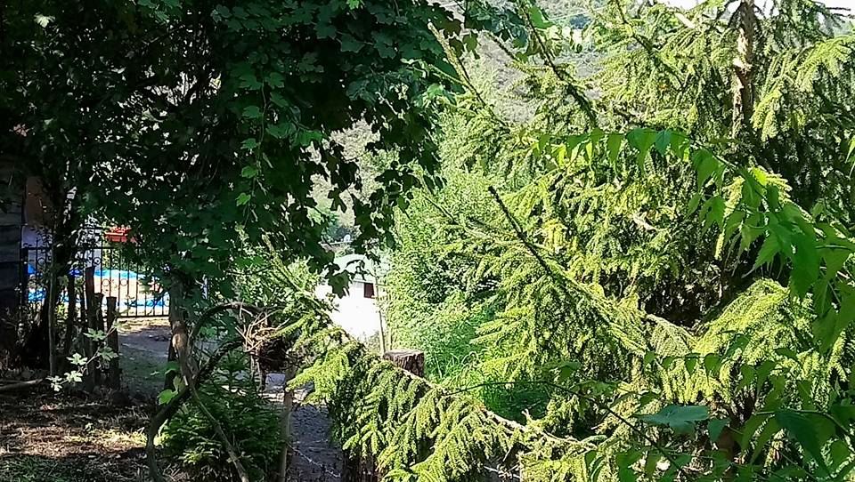 Altınordu Alembey Köyü Resimleri 4