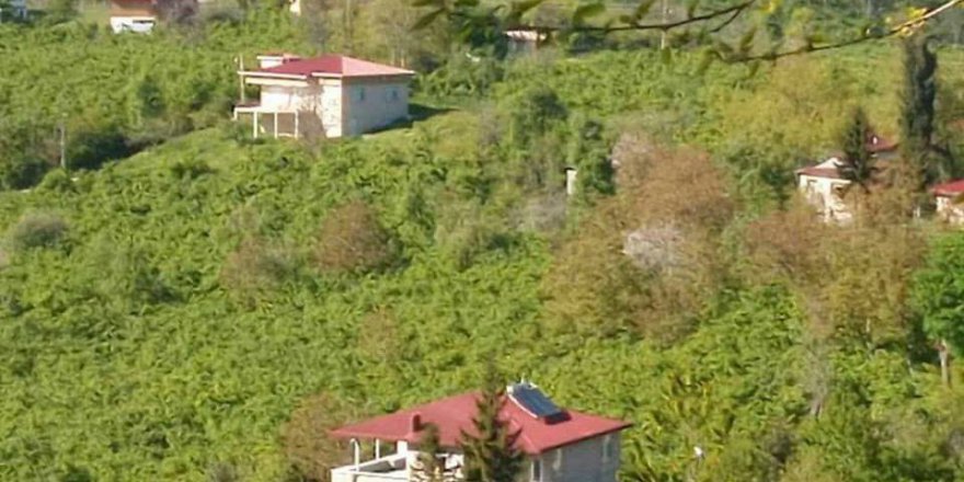 Altınordu Alembey Köyü Resimleri