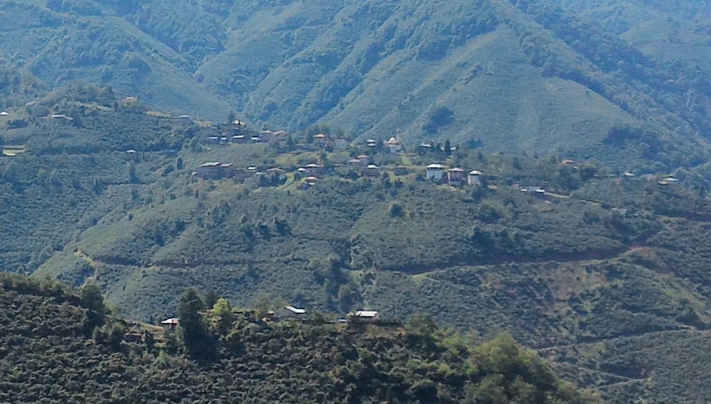 Altınordu Alınca Köyü Resimleri 8