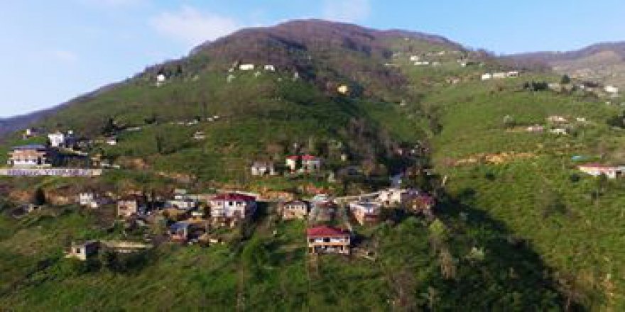 Altınordu Alınca Köyü Resimleri