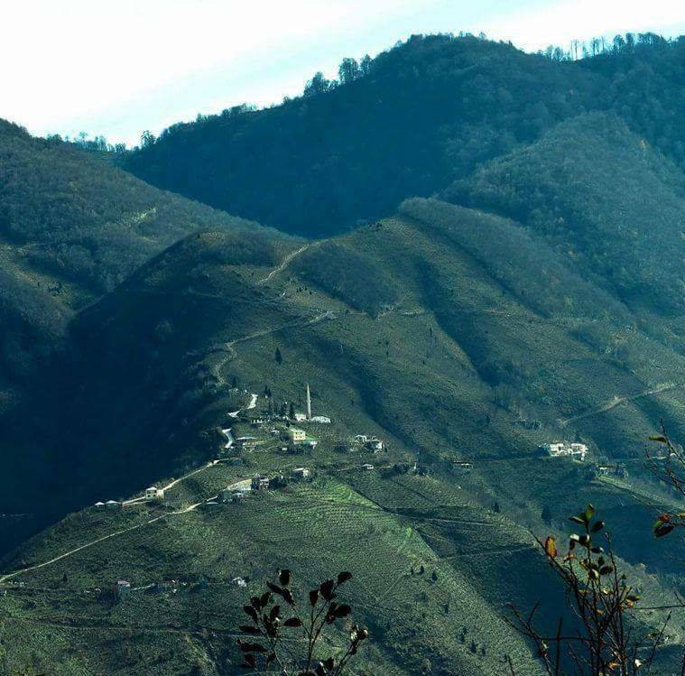 Altınordu Alisayvan Köyü Resimleri 1