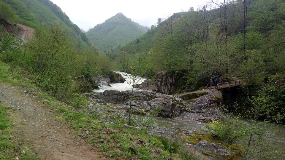 Altınordu Alisayvan Köyü Resimleri 11