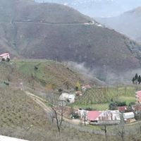 Altınordu Alisayvan Köyü Resimleri 13