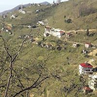 Altınordu Alisayvan Köyü Resimleri 15