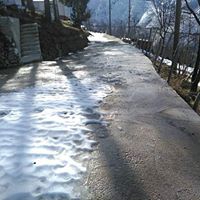 Altınordu Alisayvan Köyü Resimleri 5